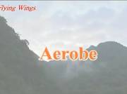 Flying Wings Aerobe